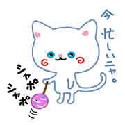 A White Cat @ Blue Eyes