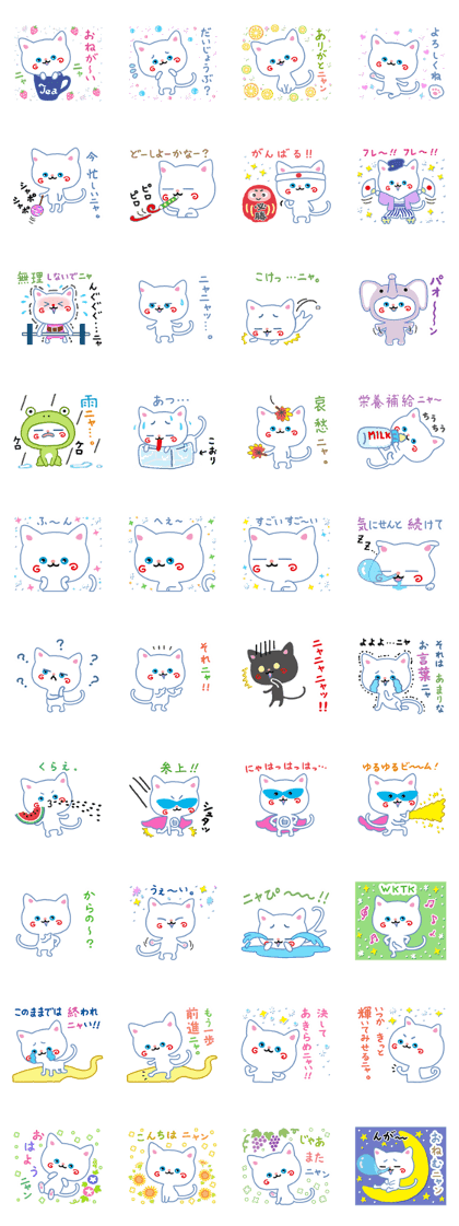 A White Cat @ Blue Eyes