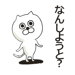 White cat of the Hakata dialect