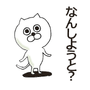 White cat of the Hakata dialect