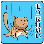 Falling squirrel