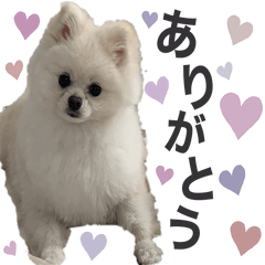 kuChan_Stamp