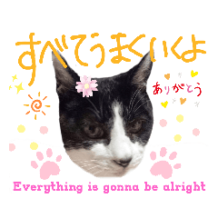 Hannah_20200504113933