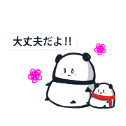 big panda2