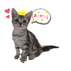 asuka_20200507170744