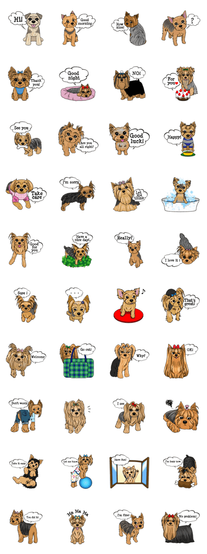 Small brave dog Yorkshire Terrier