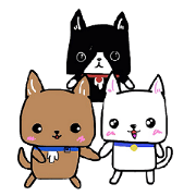 Hinoki&Kiri&Jin