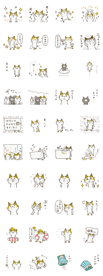 Cute cat 'Cyanpachi'. no.3