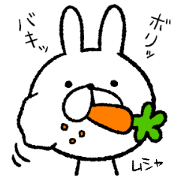 The loosely cute white rabbit2