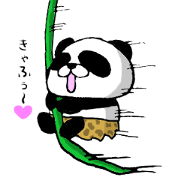 BellyPANPANDA7