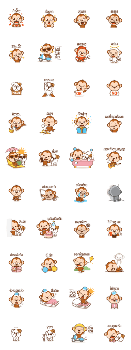 Hello monkey and friends