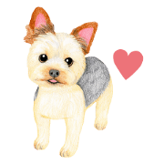Yorkie Sticker