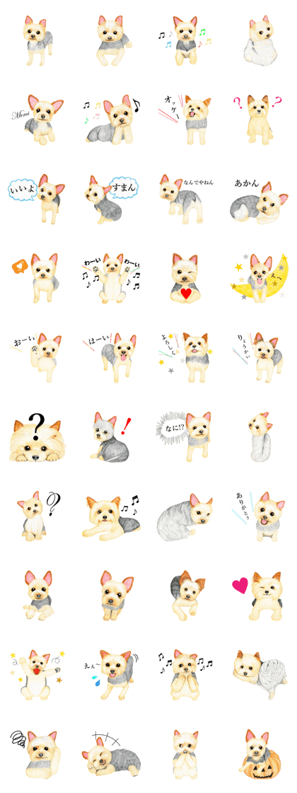 Yorkie Sticker