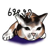 Cat-za