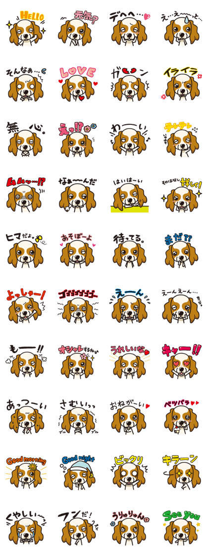 iinu - Cavalier King Charles Spaniel