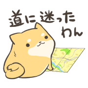 a lazy Shiba Inu Ver.Tardy