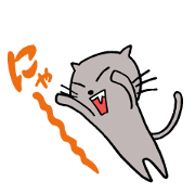 cat cry