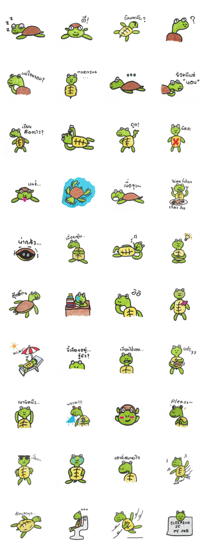 A lazy turtle