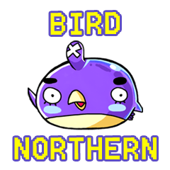 Northern Bird