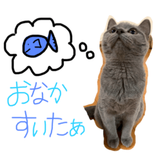 mizuki_20200507182855