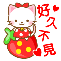 貓貓5 草苺篇