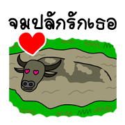 Say I love you