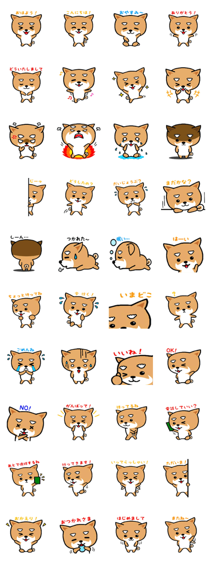 YuruShiba