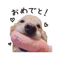 asuka_20200507195713