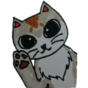 Singapura cat