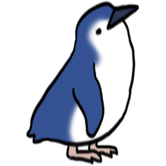 小藍企鵝