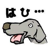 Pretty Weimaraners