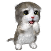 Cu Mohu Kitten EN