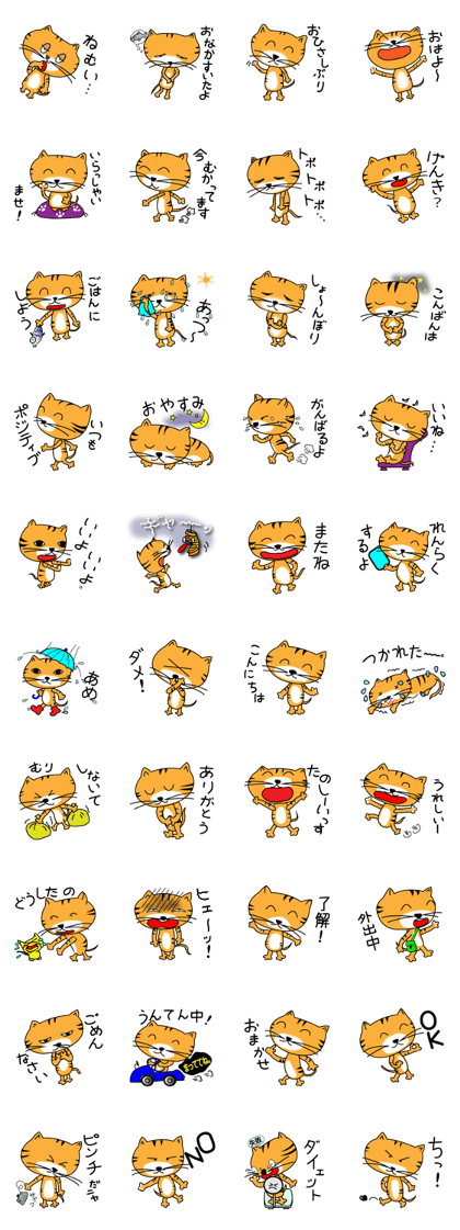 Tamko of the cat