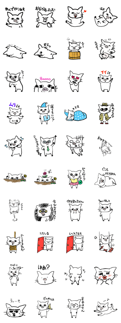 Pigcat