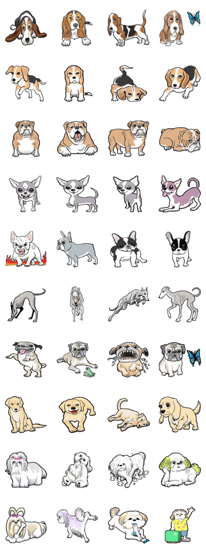 Every Dog
