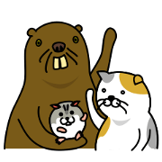 beaver!!!3rd