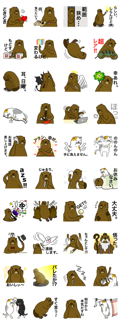 beaver!!!3rd