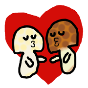 Shimeji-san