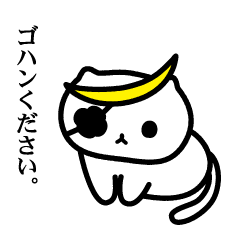 Bonnyan of Sengoku kitten