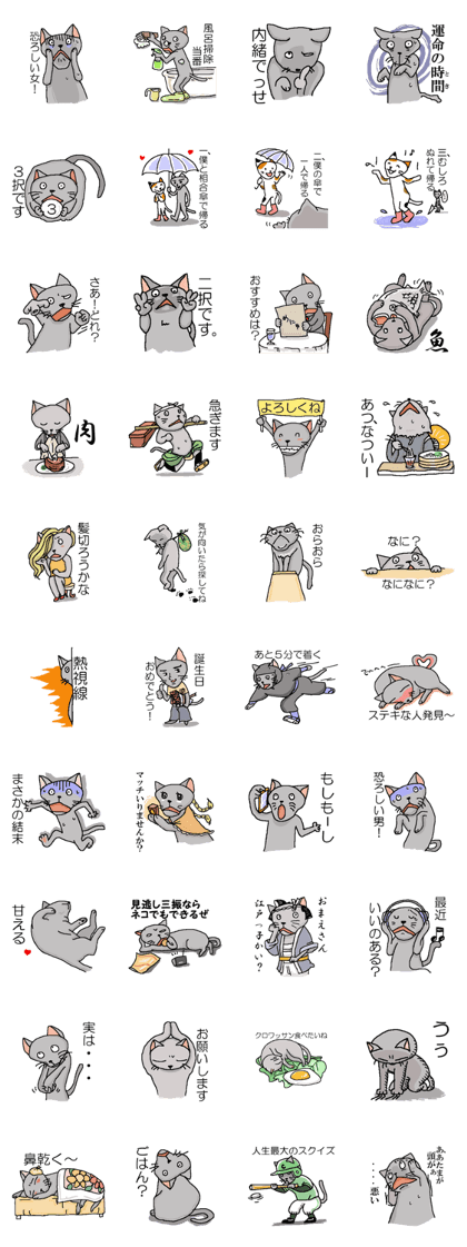 He is a cat named Gal 2