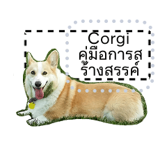 corgi น่ารัก สติกเกอร์ข้อความ