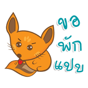 Fuyu Fox V.Thai