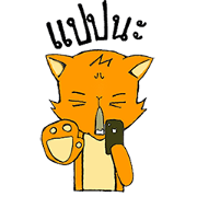 Katsu Cat
