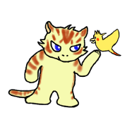 Kitten and cockatiel