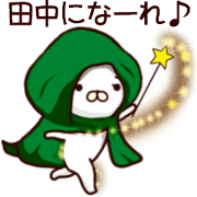 White cat that is kept of Tanaka