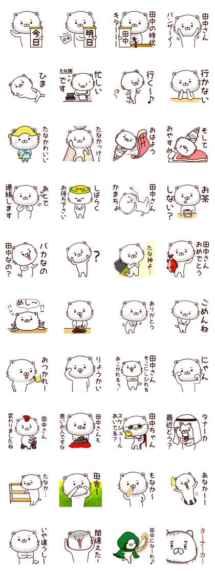 White cat that is kept of Tanaka