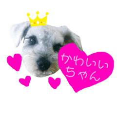 asako_20200508005221