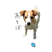 banbichan