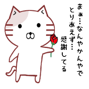 a loose cat edition