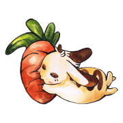 Banana bunny